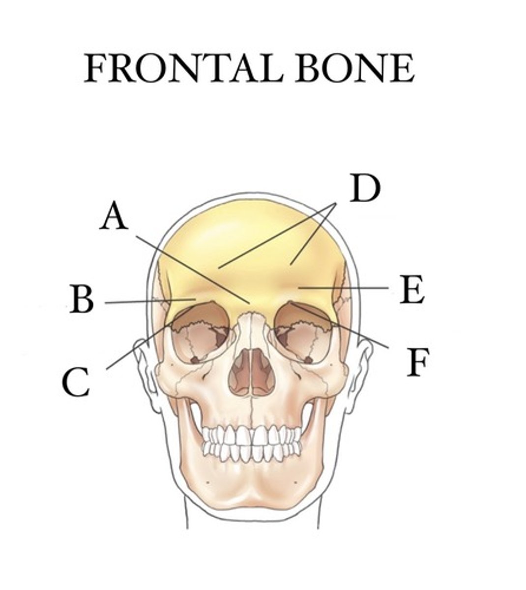 <p>What is A?</p>