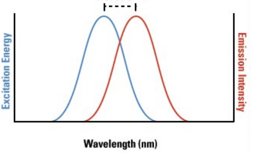 <p>The difference between the excitation and emission of wavelengths is called the _____</p>