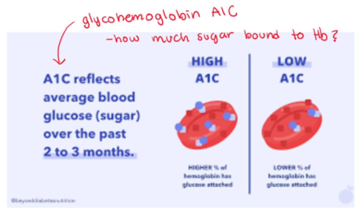 <p>- high A1c: higher % of Hb has glucose attached</p><p>- low A1c: lower % of Hb has glucose attached</p>