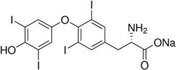 <p></p>