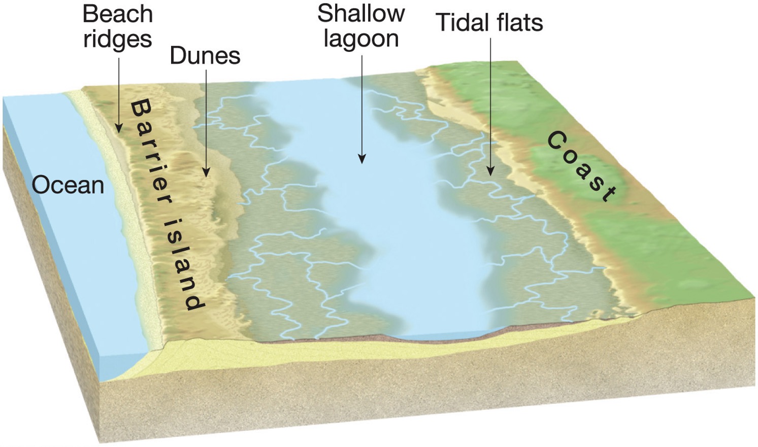 <p>What are the features beach ridges, dunes, lagoon and tidal flat?</p>