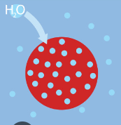 <p>-High solute concentration inside of cell causes water to diffuse into cell</p><p>Key word:¨Hypo¨-Under, beneth, less than</p><p>-Water will enter cell </p><p>-Cell will swell up</p>