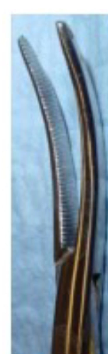 <p>-larger size of crile hemostat</p>