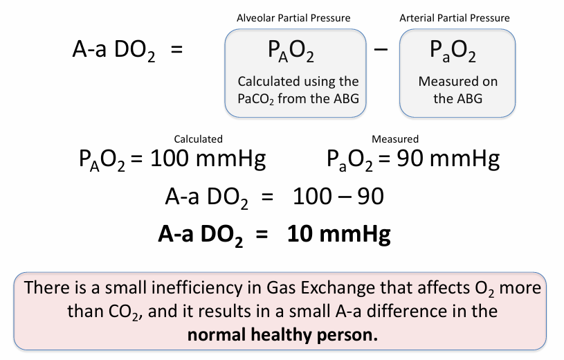 <p></p><p>-normal A-a DO2 increases with age</p><p>-age/4+4 is a general approximation</p>
