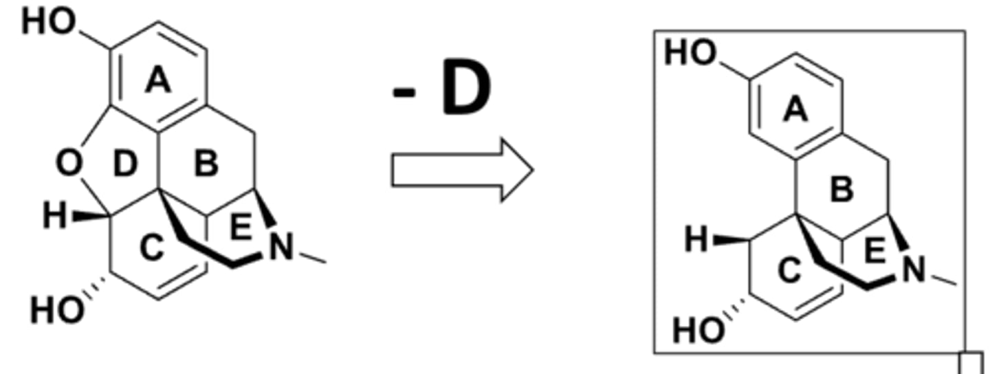 <p>- ring D is not essential for activity </p><p>- activity retains</p>