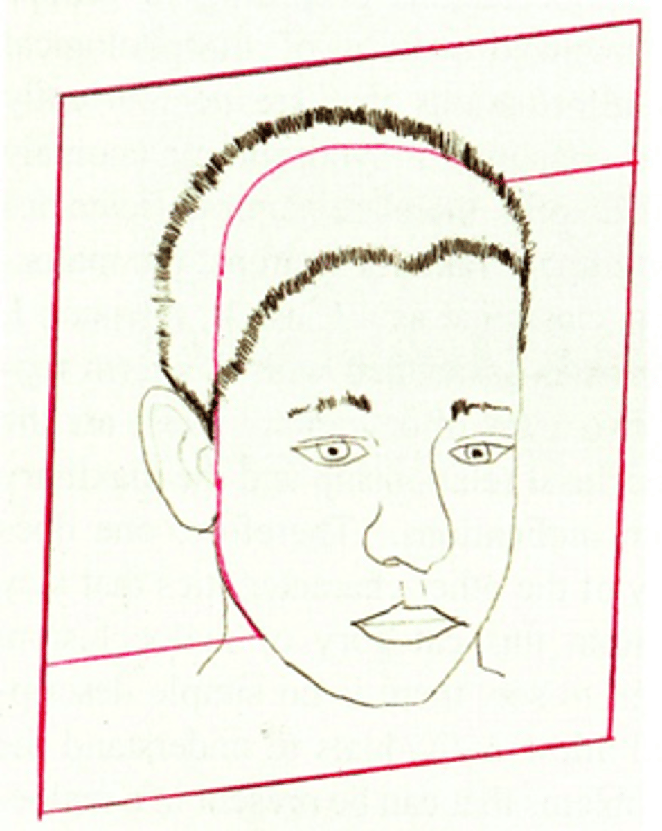 <p>ID the plane of orientation:</p>