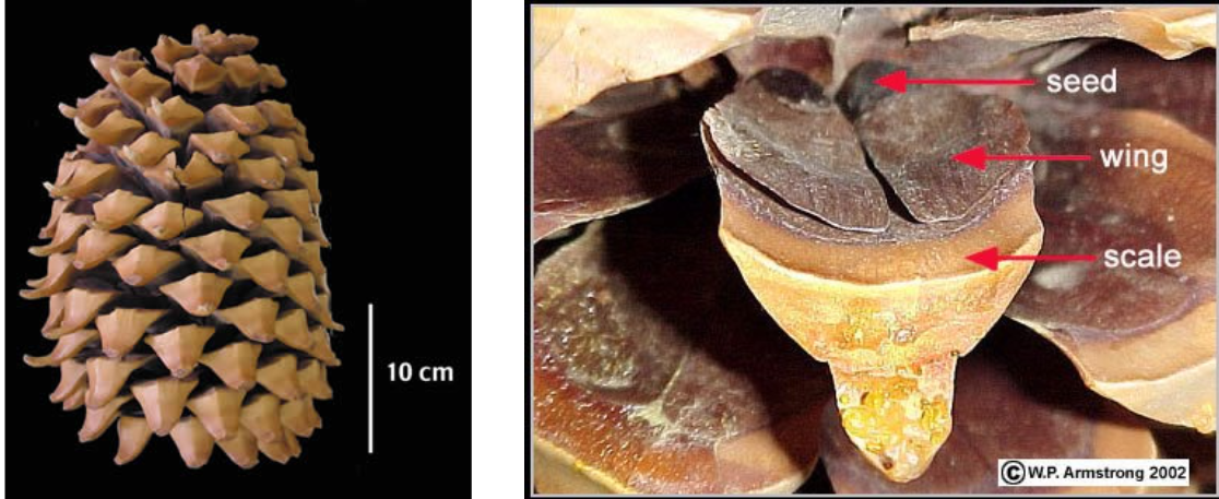 <p>What is this?</p>