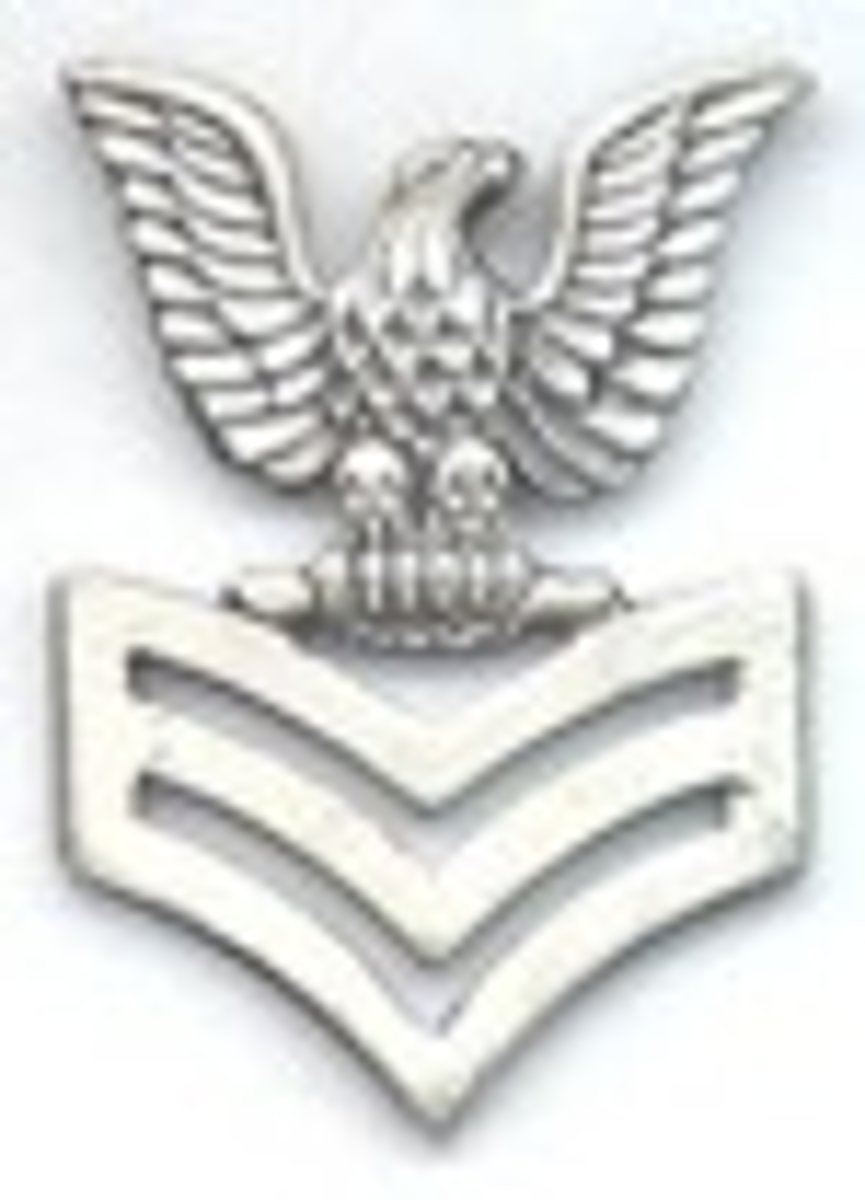 <p>perched crow on three chevrons down E6</p>