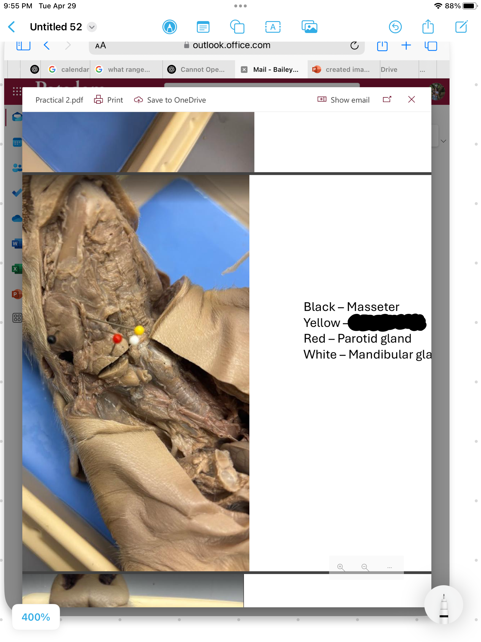 <p>label the area</p>