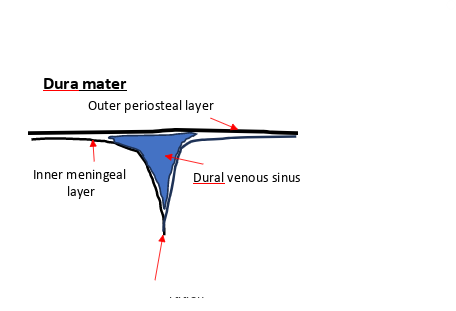 <p>what is the arrow pointing to</p>