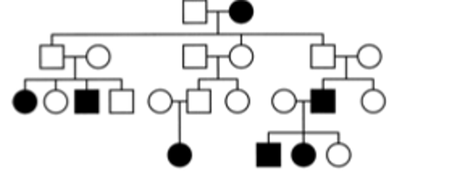<p>Maternal imprinting because the affected allele is expressed when it comes from males, but not when it comes from females. None of the children of the affected mother in generation 1 are affected but they are evidently carriers. Both of her sons have affected offspring, but her daughter does not. However, her daughter’s son is evidently a carrier because he has an affected daughter. Also, the affected male in generation 3 goes on to have affected offspring.</p>
