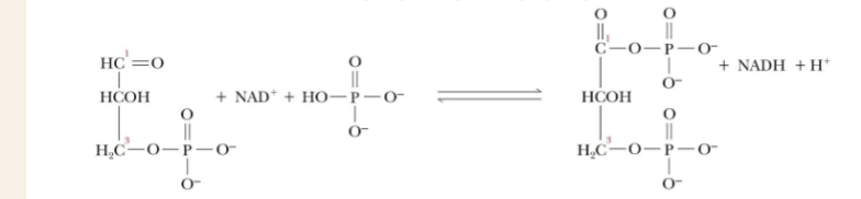 <p>What enzyme goes with this reaction</p>