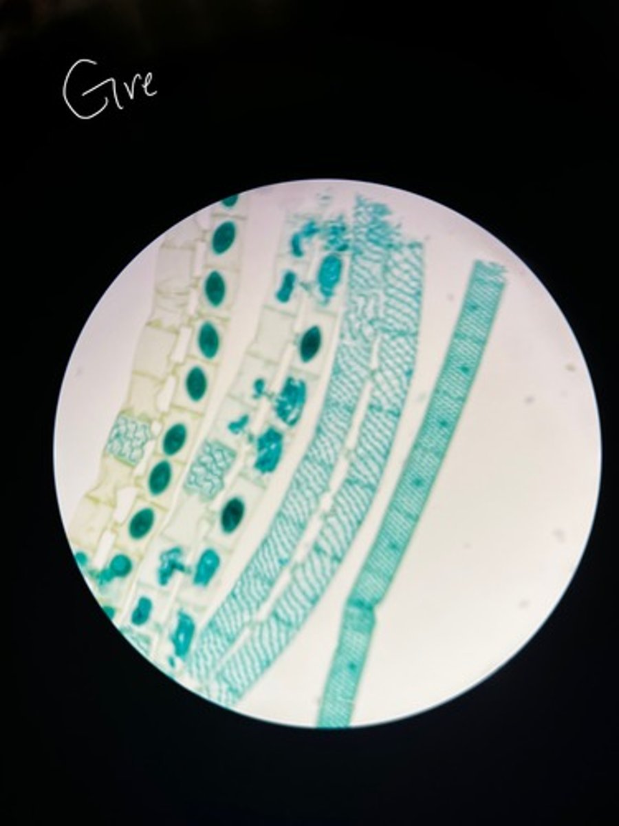 <p>What is happening here?</p>