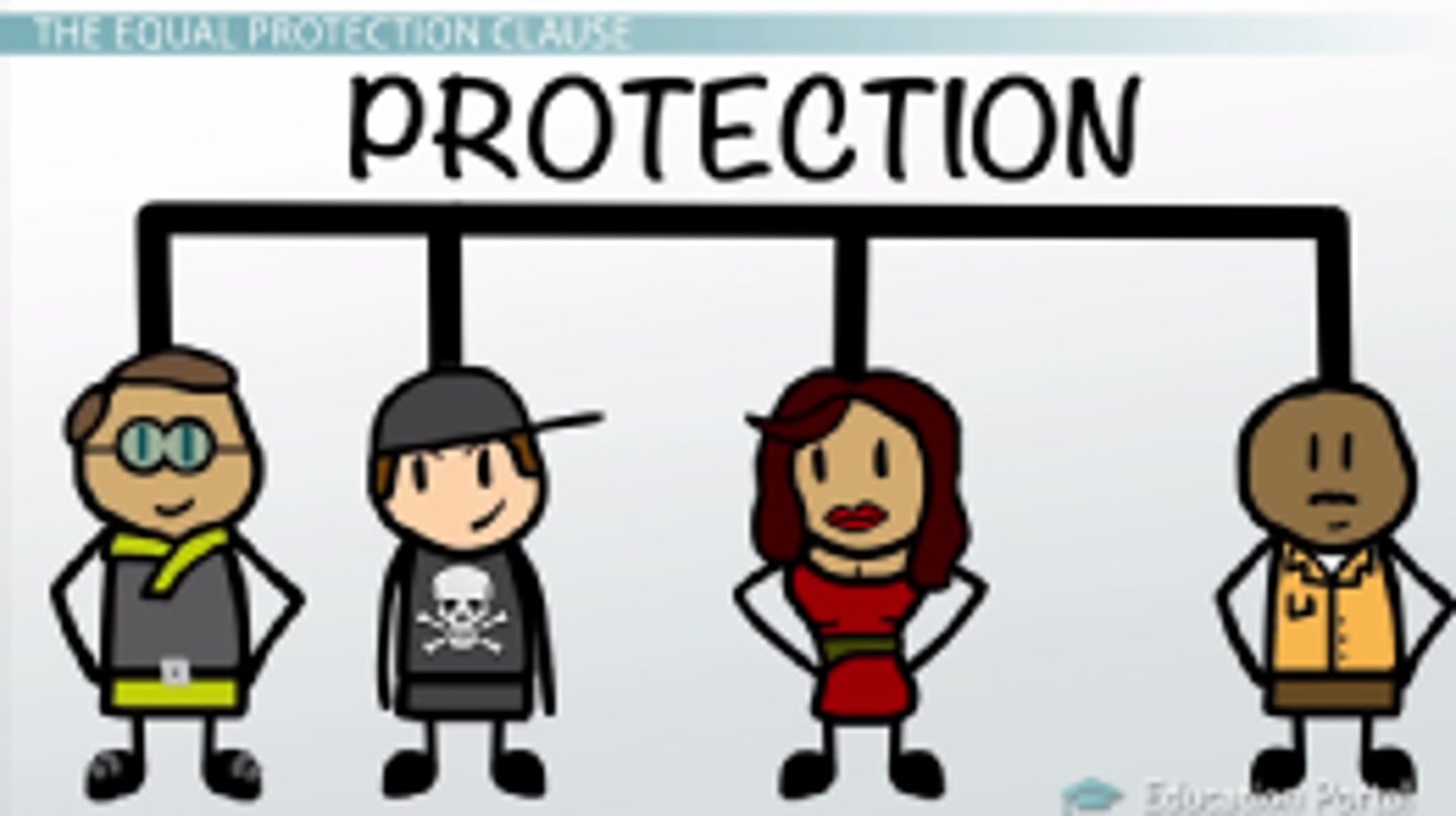 <p>a clause in the 14th amendment that requires the states to treat all citizens alike with regard to application of the laws</p>