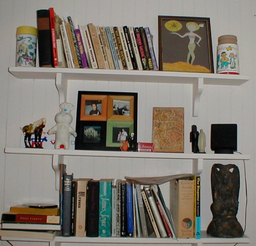<p>shelf / bookshelf / bookcase</p>