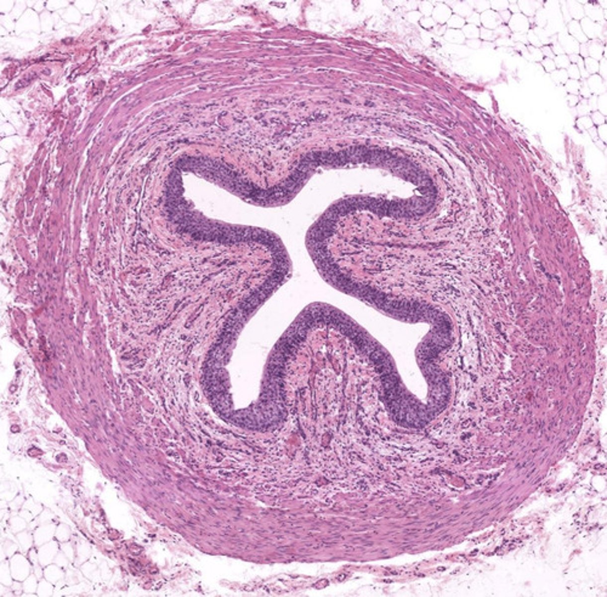 <p>what is pictured here?</p>