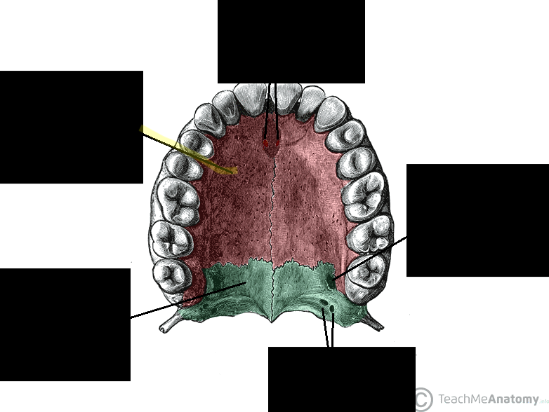 <p>What structure is this?</p>