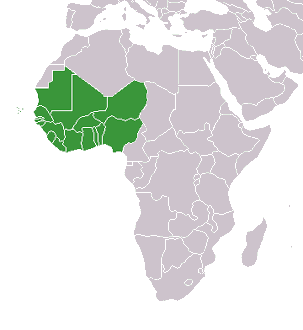 <p>What region is this?</p>