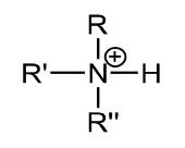 <p>name and pka</p>