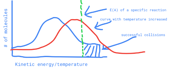 the curve is shifted right but the activation energy remains the same (the activation energy line stays in place)