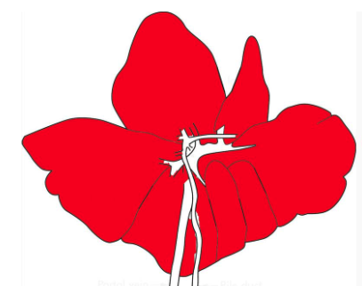 <p>Describe this distribution</p>