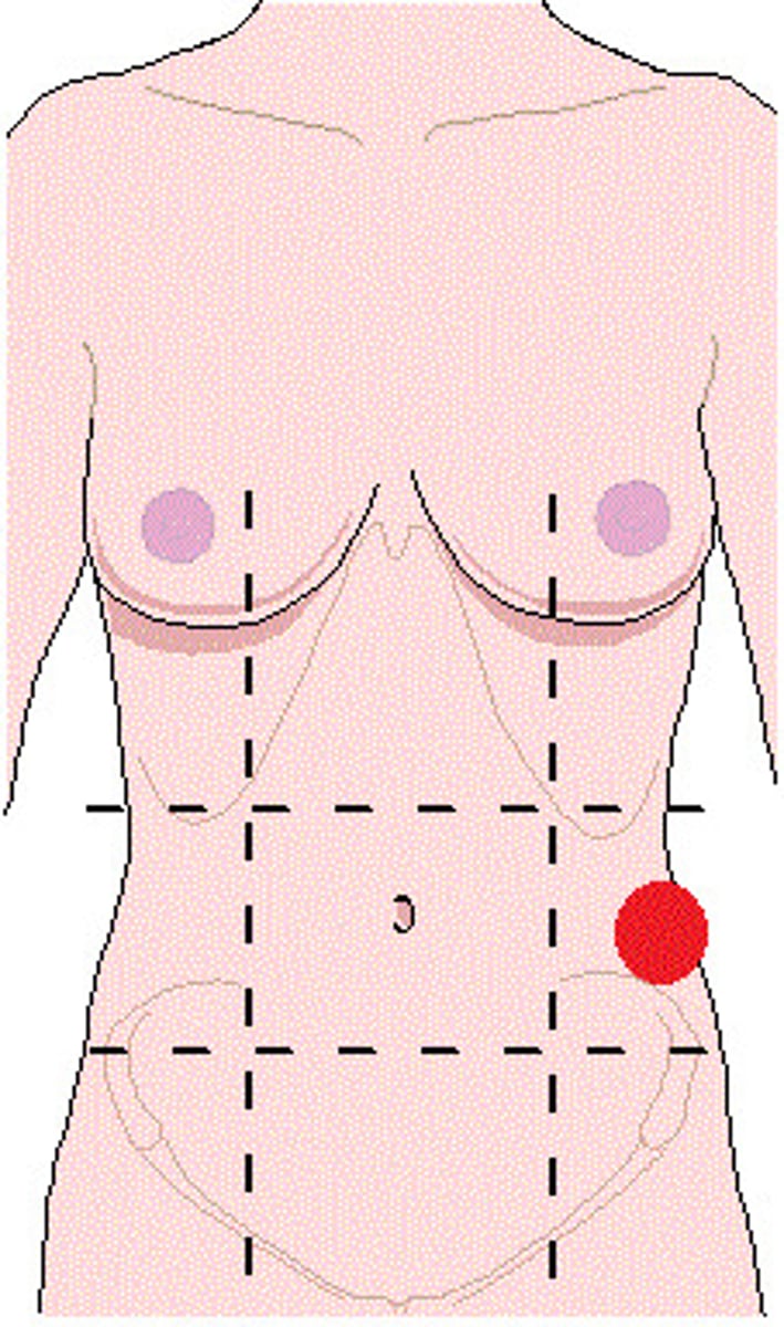 <p>to the right and left of the umbilical region, near the waist</p>