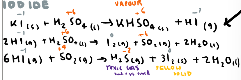 knowt flashcard image