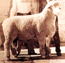 <p>Columbia</p>