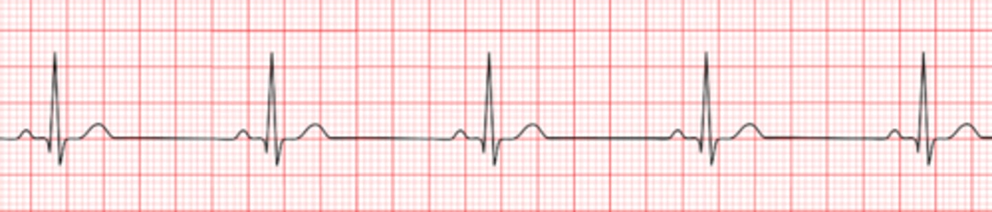 <p>What are the findings</p>