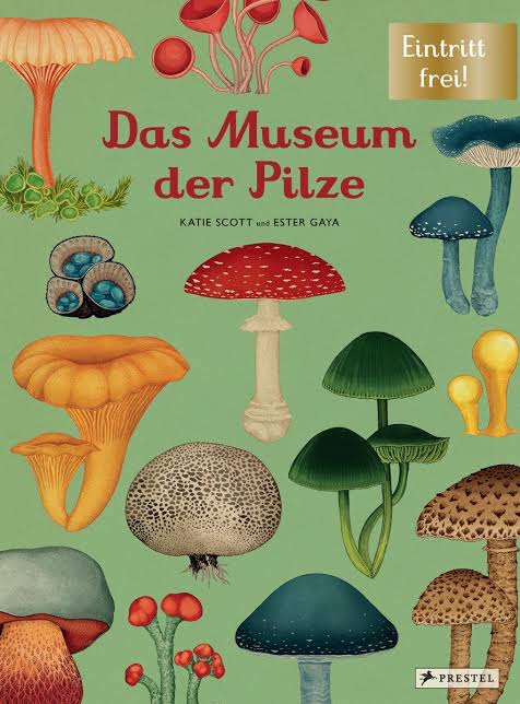 <p>মাশরুম </p><p>Der Pilz ist sehr lecker.</p>