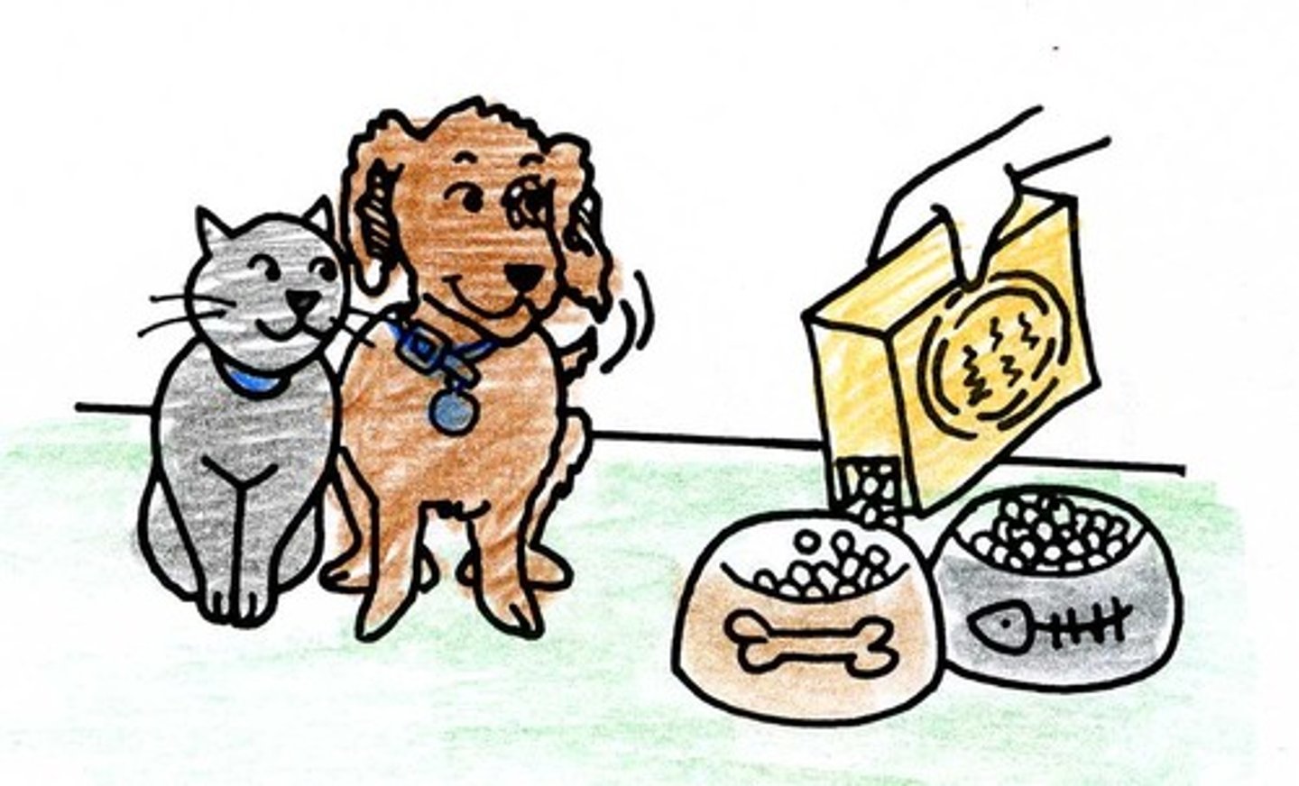 <p>to feed the pets</p>