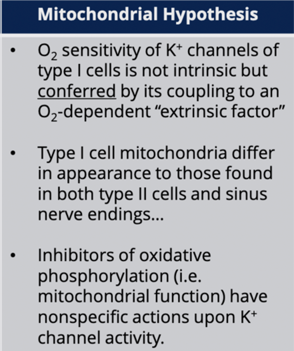 <p>Mitochondria function as oxygen sensors.</p>