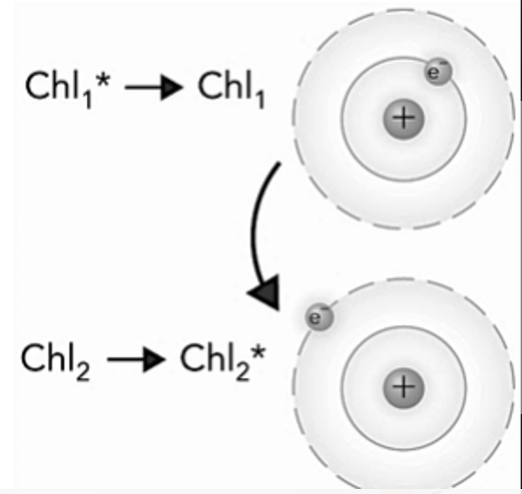 <p>The following picture is an example of what phenomenon?<br>a) resonance energy transfer<br>b) electron transfer<br>c) photoexcitation<br>d) fluorescence</p>