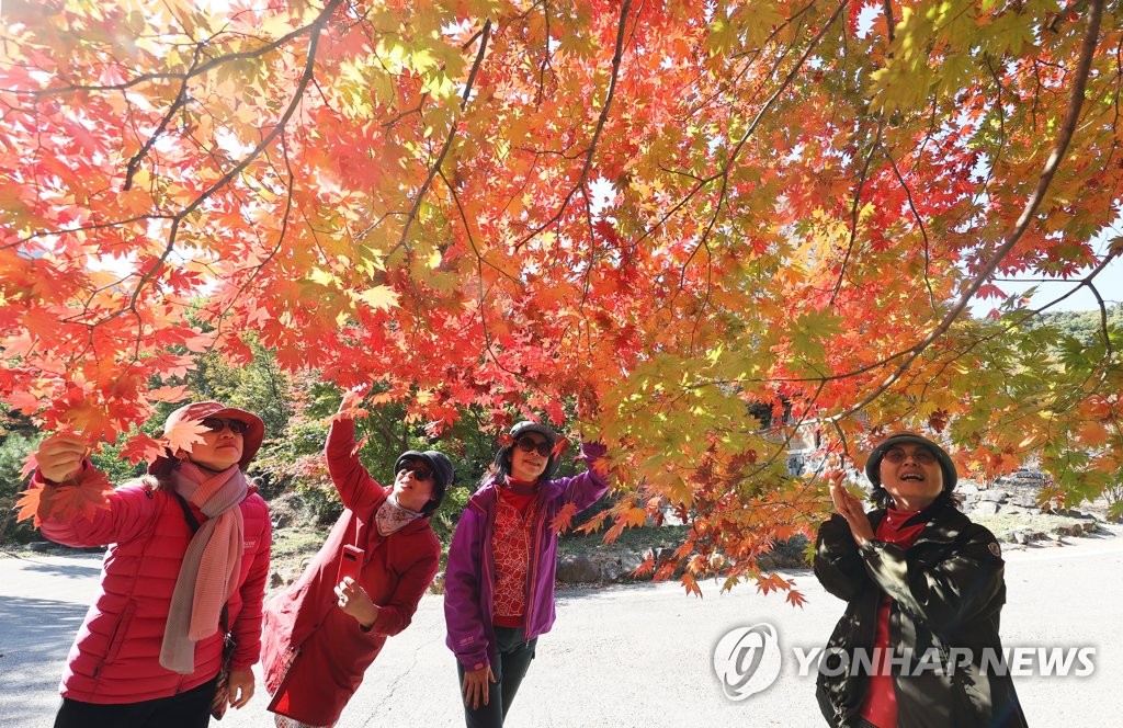 <p>가을이 되고 날씨가 선선해지면서 나뭇잎이 노란색, 빨간색으로 물드는 데 이것을 ‘단풍이 든다’라고 말해요. 한국에서는 가을이 되면 단풍 구경을 가는데, 이것을 ‘__ ___ __ __’라고 말해요.</p>