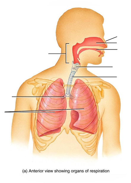 <p>Name the different parts </p>