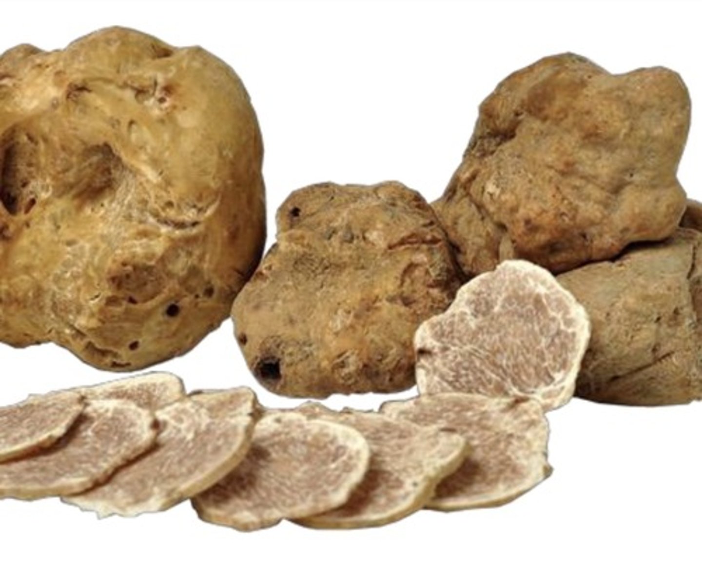<p>white truffle</p>