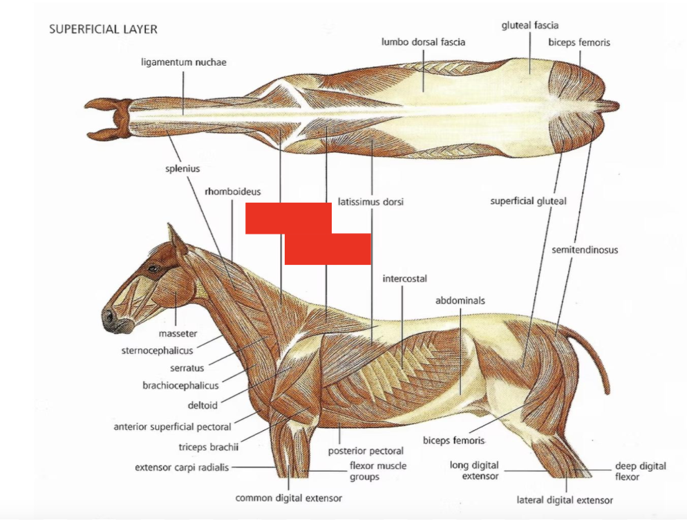 <p>What is this?</p>