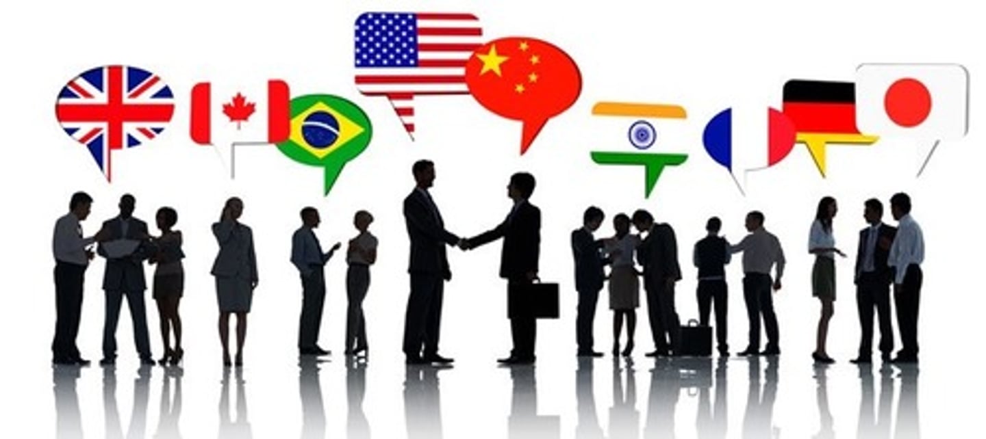 <p>international relations</p>