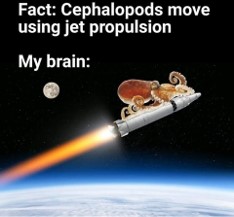 <p>Via jet propulsion</p>