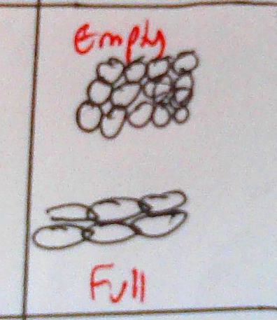 knowt flashcard image