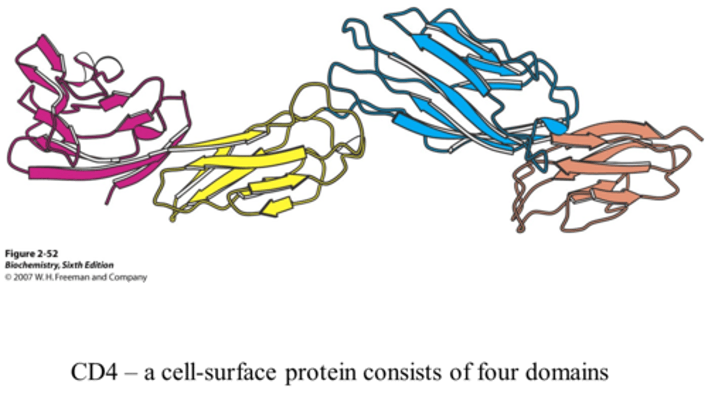 <p>domains</p>