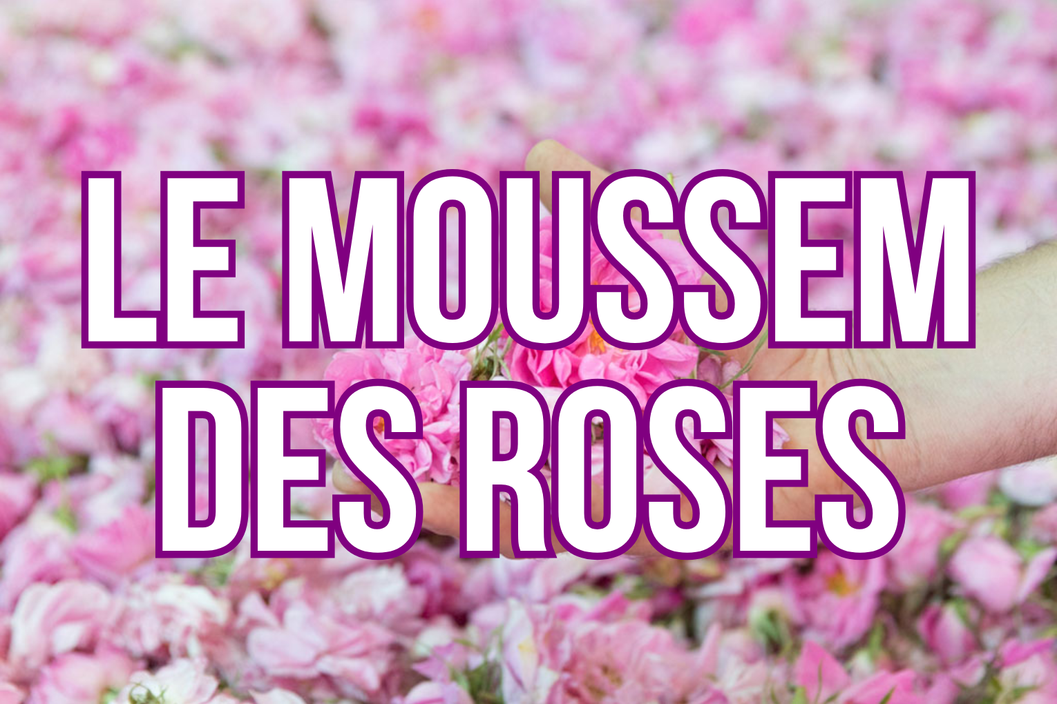 <p>le moussem des roses</p>