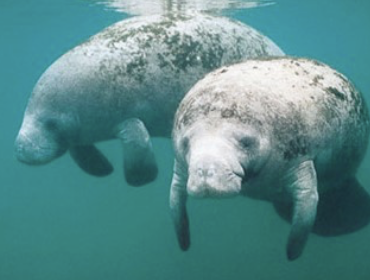 <p>What is this?</p>