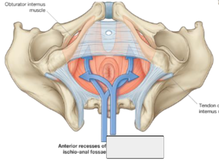 <p>what structure is that?</p>