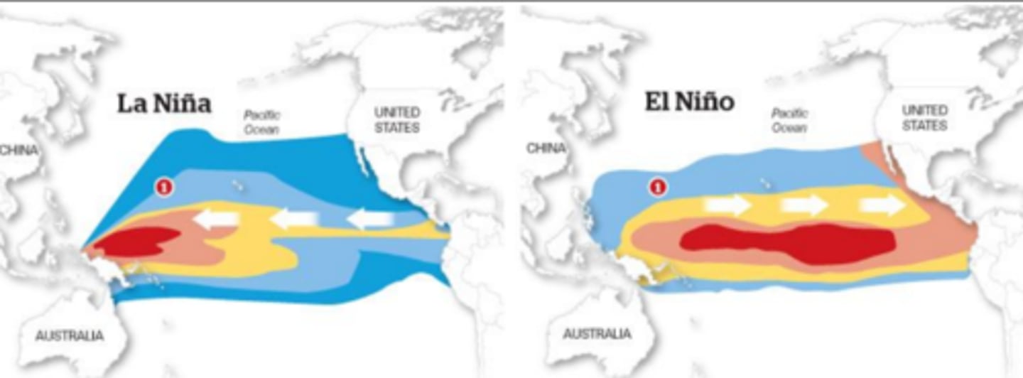 <p>cools some coastal surface waters & brings back coastal upwelling (includes more Atlantic hurricanes, colder winters in Canada and NE US, warmer/drier winters in the SE and SW US, more wildfires, wetter winters in the Pacific NW, torrential rains in SE Asia, lower wheat yields in Argentina</p>