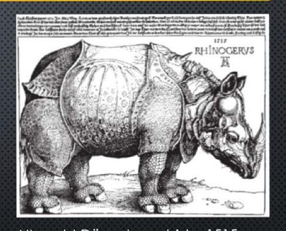 <p>Describe the image</p>