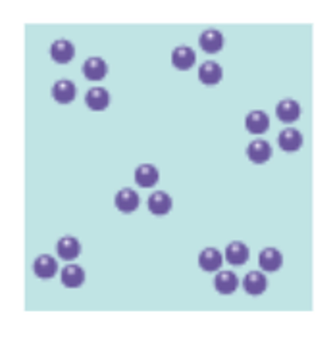 <p>Individuals in a population are organized in a tight group</p>