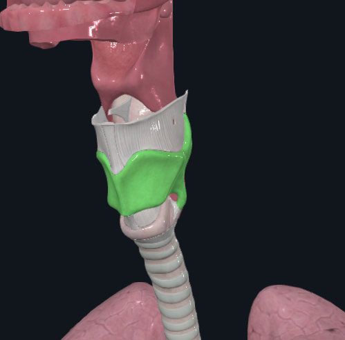 <p>What is highlighted in green</p>