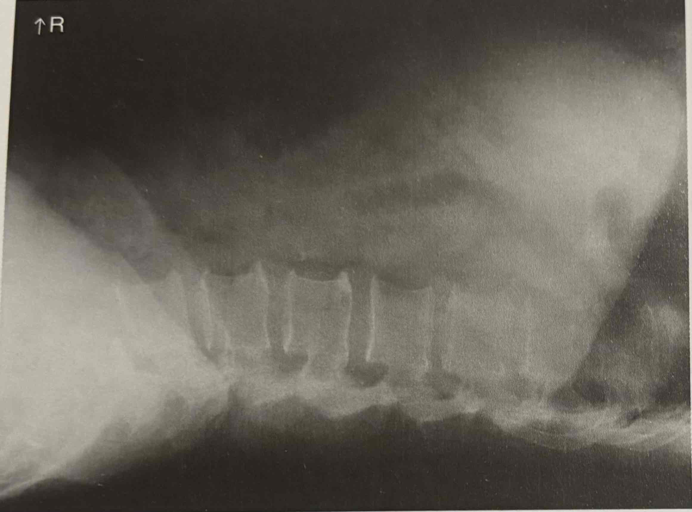<p>Identify this projection</p>