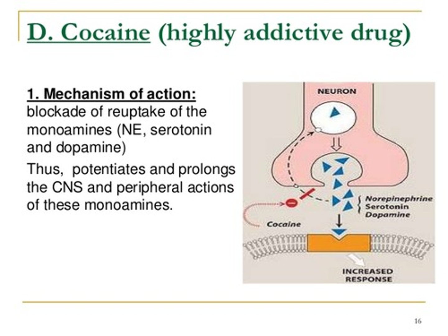 <p>- upper drug</p><p>- powder, insufflated (snorted)</p><p>- lipophilic; crosses BBB</p><p>- high Dopamine release</p><p>- Onset of action: seconds</p><p>- Duration of action: up to an hour, avg 45 min (short duration leads to binging behavior)</p>